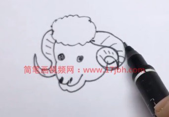 小绵羊的简笔画