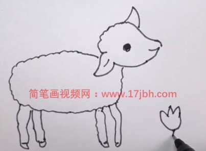 简笔画小羊的画法
