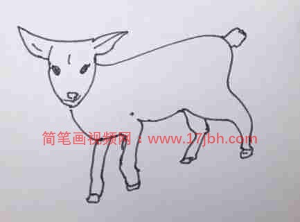 画羊简笔画步骤