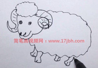 小绵羊的简笔画