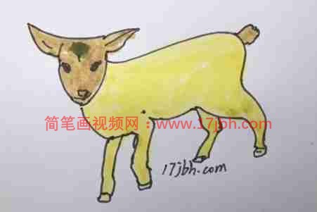 画羊简笔画步骤
