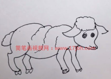 儿童画羊简笔画