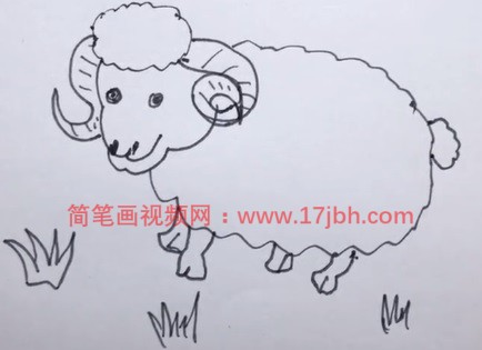 小绵羊的简笔画