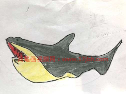 儿童简笔画大鲨鱼