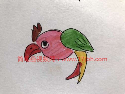 鹦鹉简笔画