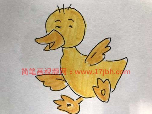 小鸭子简笔画步骤