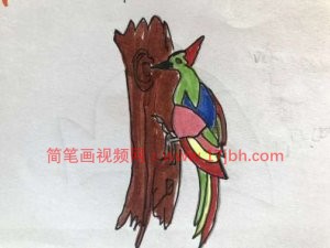 小鸟的简笔画图片大全