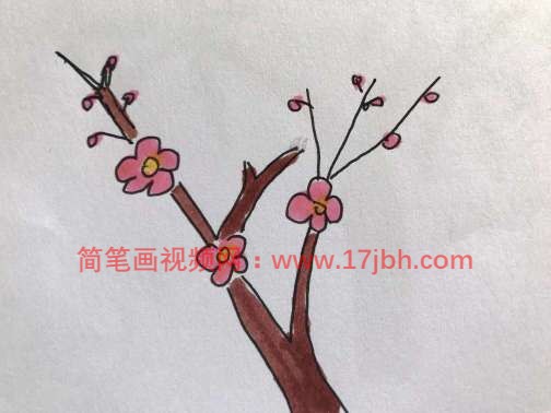 梅花树图片简笔画