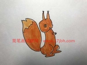 小松鼠简笔画大全