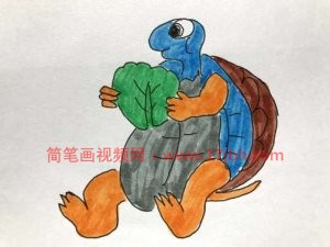 乌龟简笔画大全