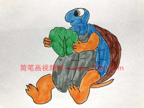 乌龟简笔画图片带颜色