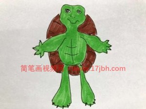 乌龟简笔画大全