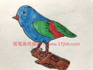 小鸟的简笔画图片大全