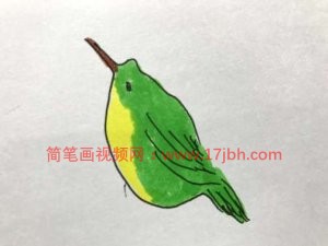 小鸟的简笔画图片大全