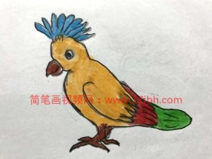 小鸟的简笔画图片大全