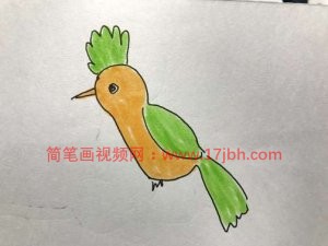 小鸟的简笔画图片大全