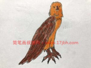 小鸟的简笔画图片大全