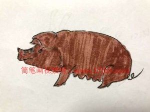 猪的简笔画图片大全可爱