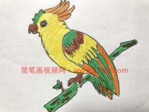 小鸟的简笔画图片大全