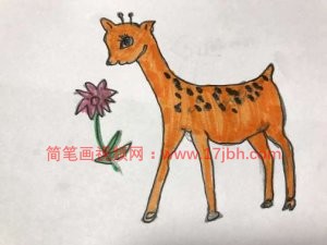 梅花鹿的简笔画图片大全