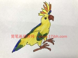 小鸟的简笔画图片大全