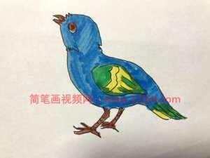 小鸟的简笔画图片大全