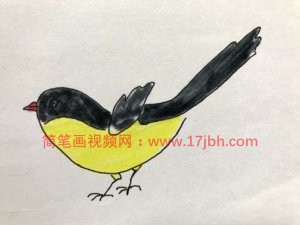 喜鹊的简笔画图片大全