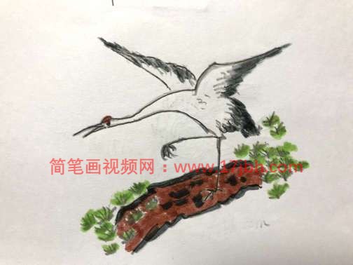 松鹤延年简笔画