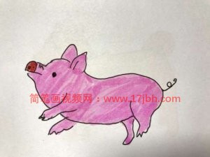 猪的简笔画图片大全可爱