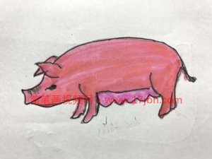 猪的简笔画图片大全可爱
