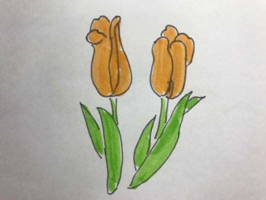 郁金香简笔画图片