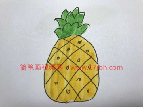 菠萝简笔画图片带颜色