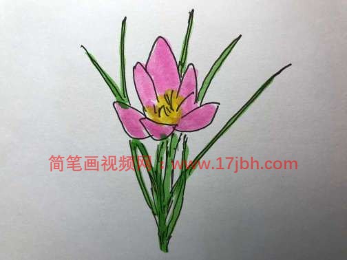 花朵简笔画