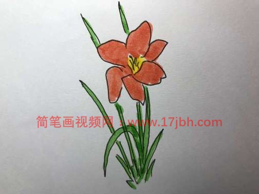 小花图片简笔画彩色