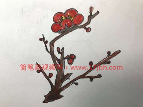 梅花树的简笔画