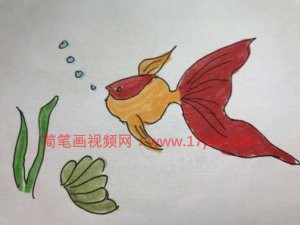 小金鱼简笔画大全