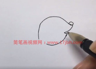 小羊羔简笔画