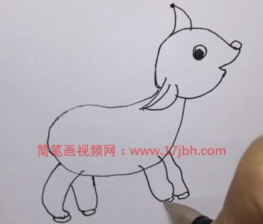 小羊羔简笔画