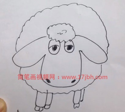 可爱小绵羊简笔画