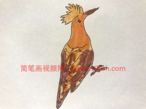 小鸟的简笔画图片大全