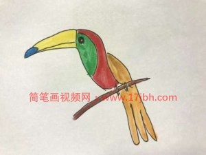 小鸟的简笔画图片大全