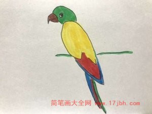 小鸟的简笔画图片大全