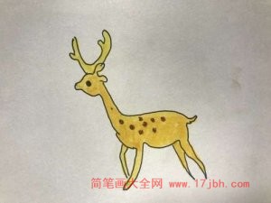 梅花鹿的简笔画图片大全