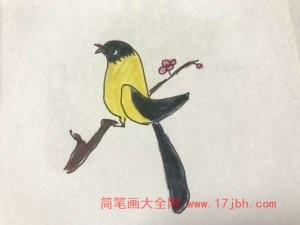 小鸟的简笔画图片大全