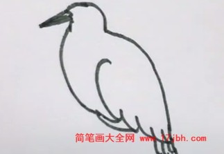 杜鹃鸟简笔画涂色