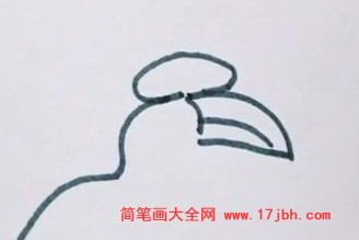 犀鸟图片简笔画