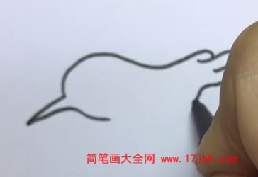 翠鸟简笔画彩色