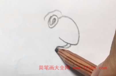 乌龟怎么画简笔画图片