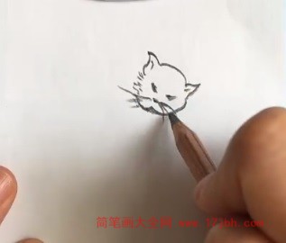 小猫睡觉图片简笔画