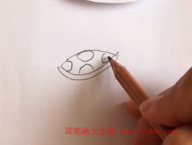 简笔画乌龟涂色